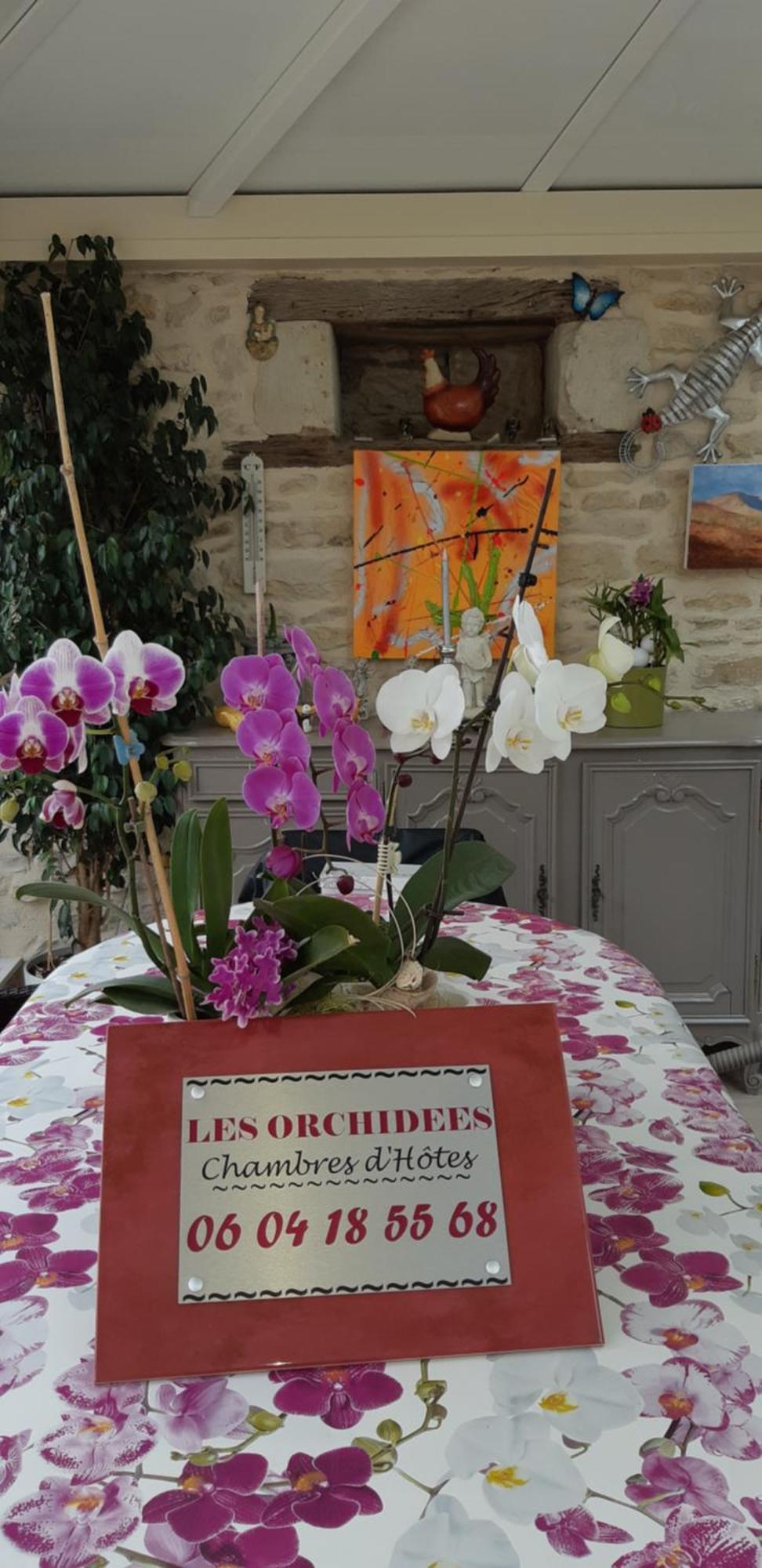 Les Orchidees Chambre Hotes Futuroscope Chasseneuil Poitiers Jaunay-Clan Luaran gambar
